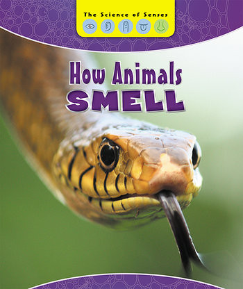 How Animals Smell by Alicia Z. Klepeis, 9781502642080