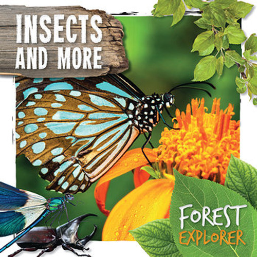 Insects and More by Robin Twiddy, 9781534528635