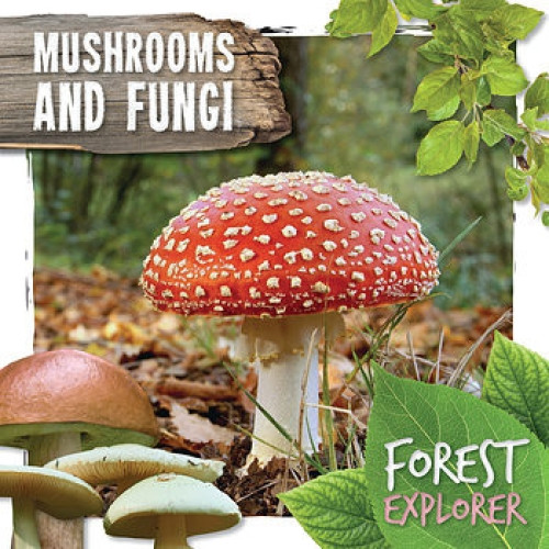 Mushrooms and Fungi by Robin Twiddy, 9781534528710