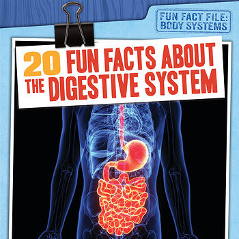 20 Fun Facts About the Digestive System - 9781538232743 by Emily Mahoney, 9781538232743