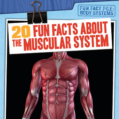 20 Fun Facts About the Muscular System - 9781538232767 by Tayler Cole, 9781538232767 20 Fun Facts About the Muscular System - 9781538232767 by Tayler Cole, 9781538232767