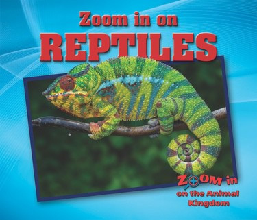 Reptiles - 9781978501881 by Rebecca Kraft Rector, 9781978501881