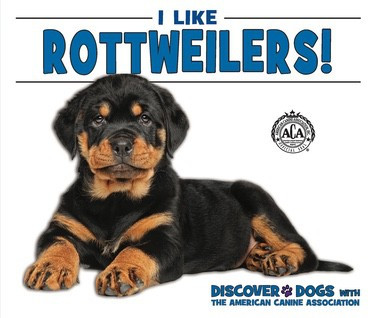 I Like Rottweilers! by Linda Bozzo, 9781978501911