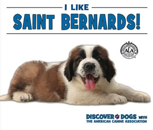 I Like Saint Bernards! by Linda Bozzo, 9781978501928