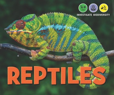 Reptiles - 9781978502536 by Rebecca Kraft Rector, 9781978502536