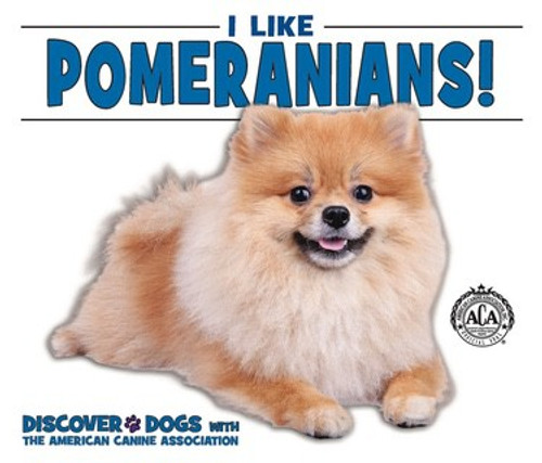 I Like Pomeranians! - 9781978502598 by Linda Bozzo, 9781978502598