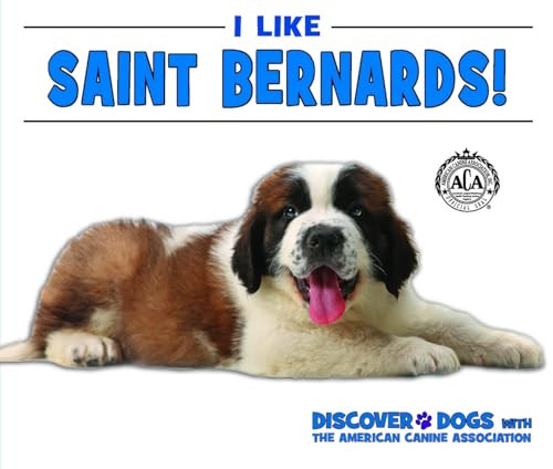 I Like Saint Bernards! - 9781978502659 by Linda Bozzo
