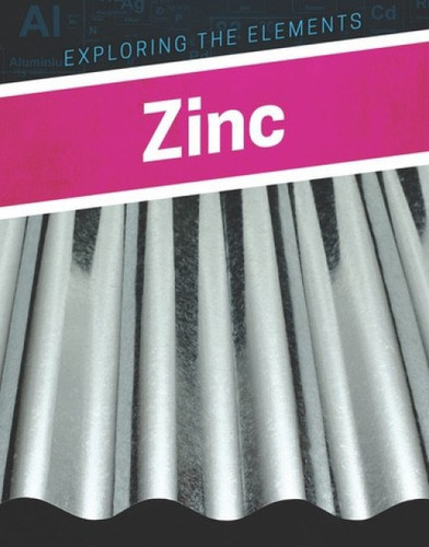 Zinc - 9781978503724 by Elise Tobler