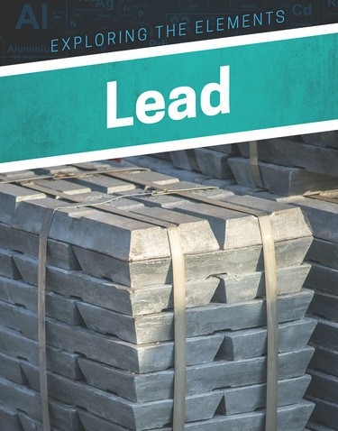 Lead - 9781978505414 by Donna B. McKinney, 9781978505414