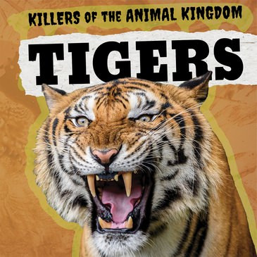 Tigers - 9781725306219 by Kathleen A. Klatte, 9781725306219