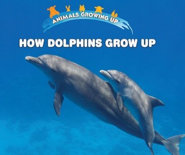How Dolphins Grow Up - 9781978508194 by Linda Bozzo, 9781978508194