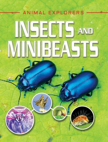 Insects and Minibeasts - 9781978509856 by Michael Leach, Meriel Lland
