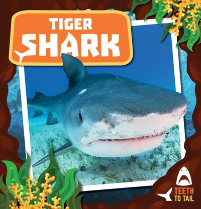 Tiger Shark - 9781534533073 by Robin Twiddy, 9781534533073