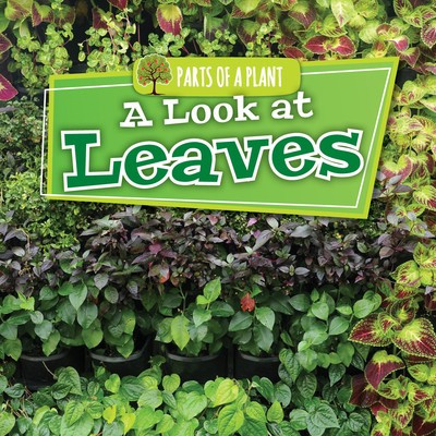 A Look at Leaves - 9781534533714 by Lindsey Lowe, 9781534533714