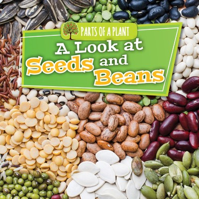 A Look at Seeds and Beans by Lindsey Lowe, 9781534533776