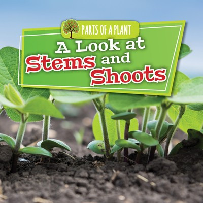 A Look at Stems and Shoots by Lindsey Lowe, 9781534533813