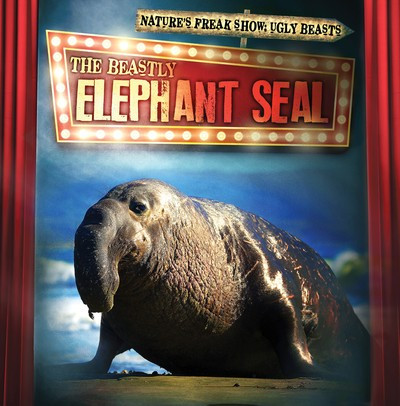 The Beastly Elephant Seal - 9781538246023 by Janey Levy, 9781538246023