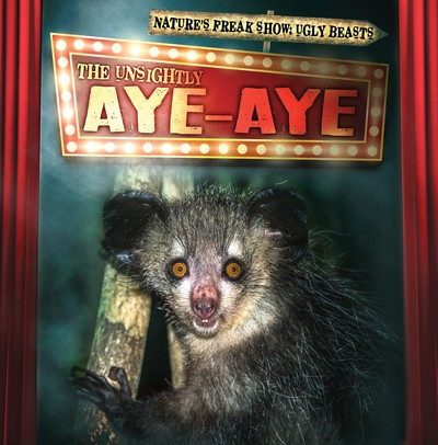 The Unsightly Aye-Aye - 9781538246221 by Janey Levy, 9781538246221