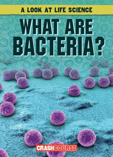 What Are Bacteria? - 9781538248515 by Kate Mikoley, 9781538248515 What Are Bacteria? - 9781538248515 by Kate Mikoley, 9781538248515