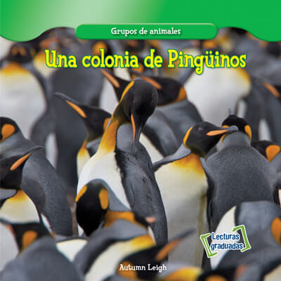 Una colonia de Pingüinos (A Penguin Colony) by Autumn Leigh, 9781538251003