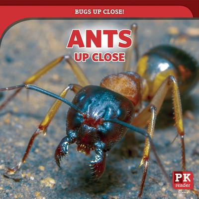Ants Up Close - 9781725307742 by Rachael Morlock, 9781725307742