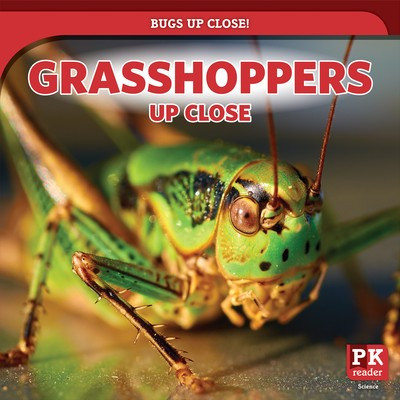 Grasshoppers Up Close - 9781725307902 by Rachael Morlock, 9781725307902