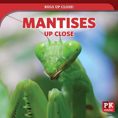 Mantises Up Close - 9781725307940 by Caitie McAneney, 9781725307940