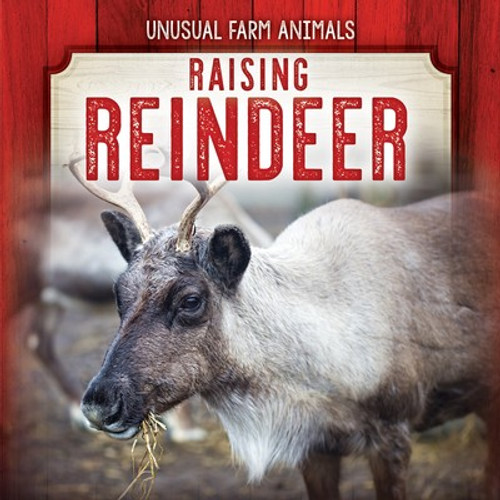 Raising Reindeer - 9781725309104 by Sarah Machajewski, 9781725309104