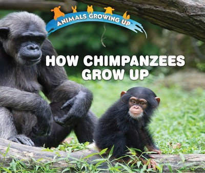How Chimpanzees Grow Up - 9781978512252 by Linda Bozzo, 9781978512252