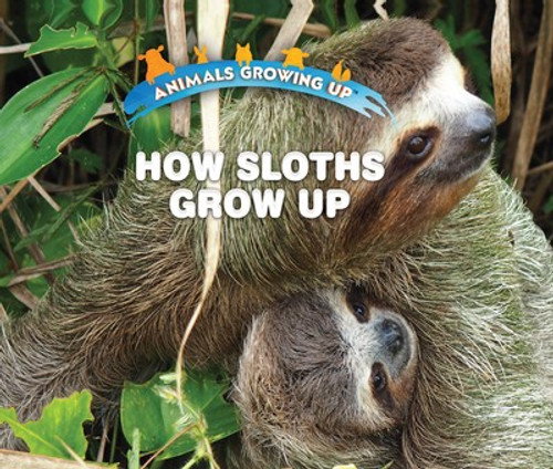 How Sloths Grow Up - 9781978512412 by Linda Bozzo, 9781978512412