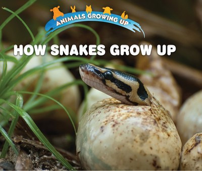 How Snakes Grow Up - 9781978512450 by Linda Bozzo, 9781978512450