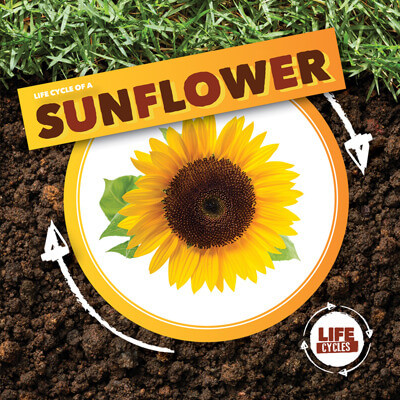 Life Cycle of a Sunflower - 9781534540064 by Kirsty Holmes, 9781534540064