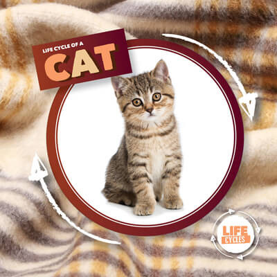 Life Cycle of a Cat - 9781534540125 by Kirsty Holmes, 9781534540125