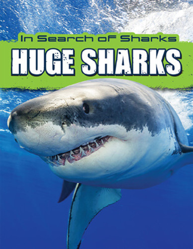 Huge Sharks by David Thompson, 9781725332638