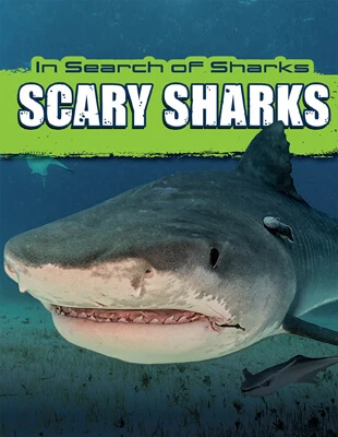 Scary Sharks - 9781725332676 by David Thompson, 9781725332676