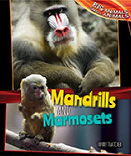 Mandrills and Marmosets - 9781477761182 by Henry Thatcher