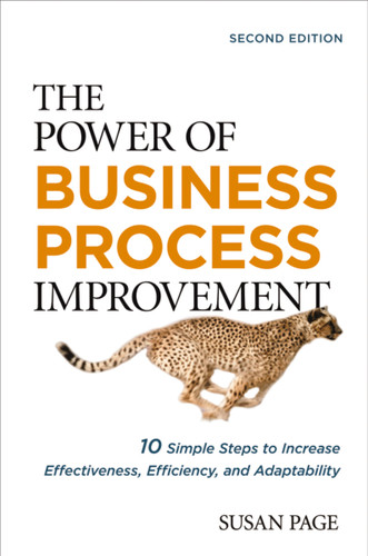 The Power of Business Process Improvement (10 Simple Steps to Increase Effectiveness, Efficiency, and Adaptability) by Susan Page, 9781400242597