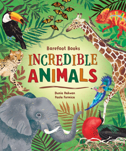 Barefoot Books Incredible Animals by Dunia Rahwan, Paola Formica, 9781646860661