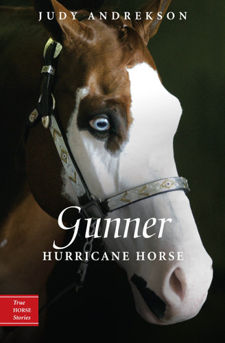Gunner (Hurricane Horse) by Judy Andrekson, David Parkins, 9780887769054