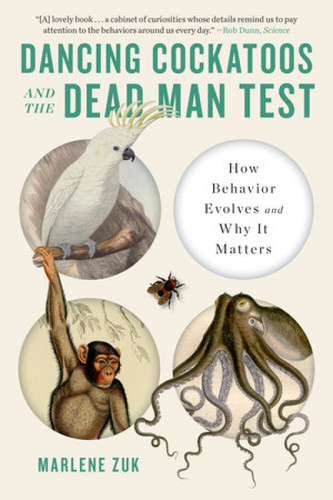 Dancing Cockatoos and the Dead Man Test (How Behavior Evolves and Why It Matters) - 9781324064404 by Marlene Zuk