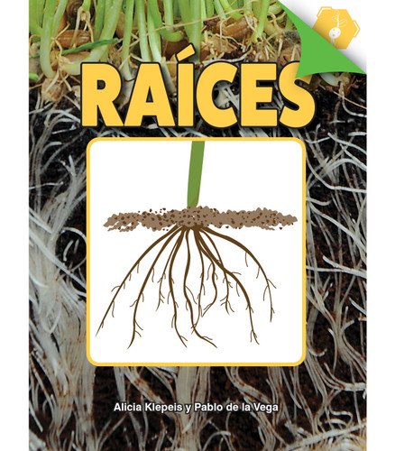 Raíces (Roots) (Spanish Edition) by Alicia Klepeis, 9781731654472