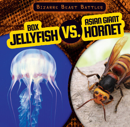 Box Jellyfish vs. Asian Giant Hornet by Natalie Humphrey, 9781538283950