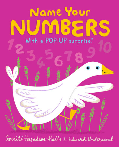 Name Your Numbers by Smriti Prasadam-Halls, Edward Underwood, 9781536228458