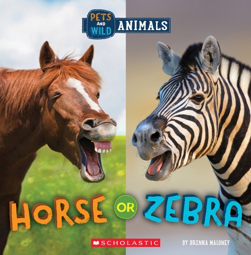 Horse or Zebra (Wild World: Pets and Wild Animals) by Brenna Maloney, 9781338899832