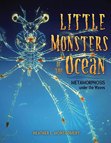 Little Monsters of the Ocean (Metamorphosis under the Waves) - 9781728477787 by Heather L. Montgomery, 9781728477787