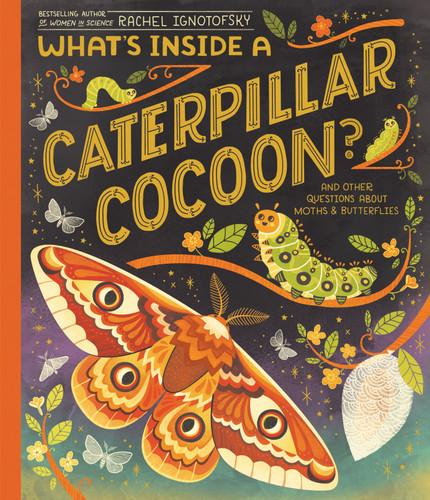 What's Inside a Caterpillar Cocoon? (And Other Questions About Moths & Butterflies) - 9780593176610 by Rachel Ignotofsky, 9780593176610