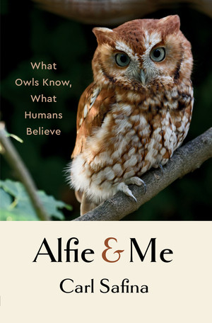 Alfie and Me (What Owls Know, What Humans Believe) by Carl Safina, 9781324065463