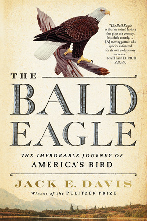The Bald Eagle (The Improbable Journey of  America's Bird) - 9781324094104 by Jack E. Davis, 9781324094104