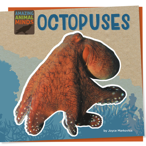 Octopuses - 9781668928967 by Joyce Markovics, 9781668928967