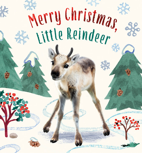 Merry Christmas, Little Reindeer (A Board Book) by Amanda Wood, Bec Winnel, Vikki Chu, 9781419769498